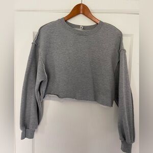 Gray Cropped Sweatshirt
